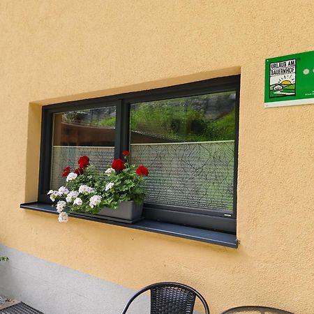 Alpenbauernhaus Konzett Шрунс Экстерьер фото
